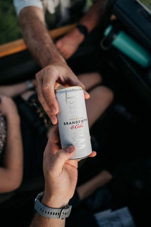 Wildebeest Premium Brandewyn & Cola (24 x 300ml Cans)